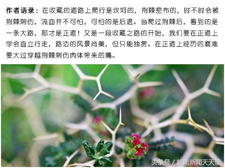 在古玩城打扫卫生的王姐,讲给我古玩经营的“秘密”!