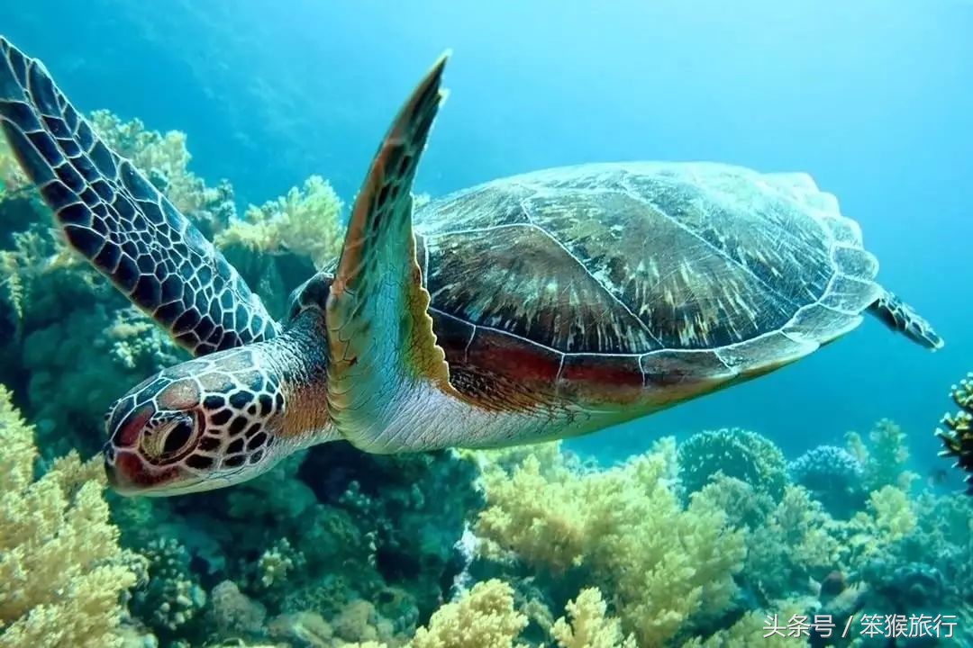 如何征战朋友圈？这个超洗眼睛的地方可落地签一周预算5K+