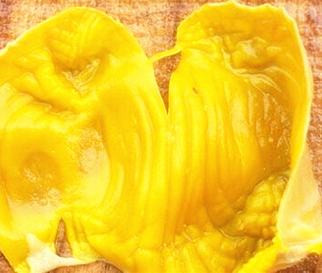 有些人为什么慎用鸡内金,怎么判断是不是真的鸡内金