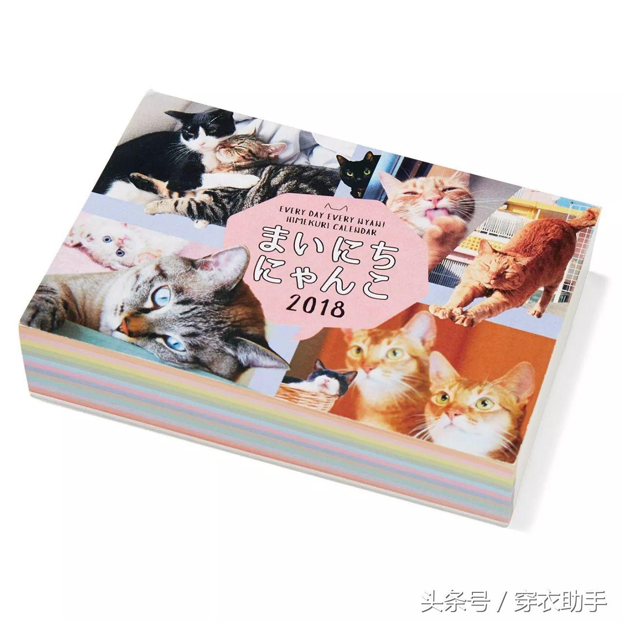 提升猫咪智商的玩具,提高猫咪的生活品质