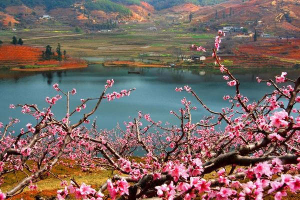 攀枝花市夏季旅游路线,攀枝花周边景点一日游最佳路线