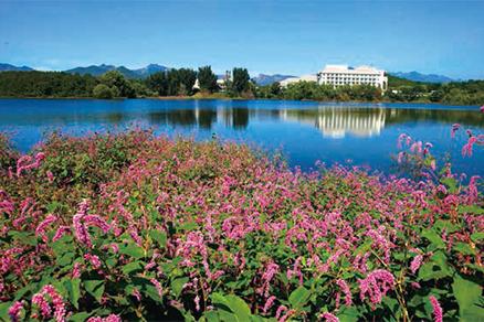 京郊哪里好玩秋天,秋季京郊旅游好去处