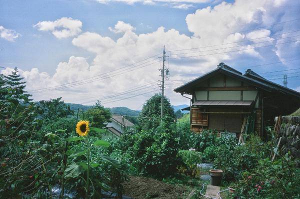 日本旅游景点最佳地点,日本广岛旅游景点大全