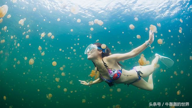 泰国最佳西方酒店在哪里,泰国主题酒店入口