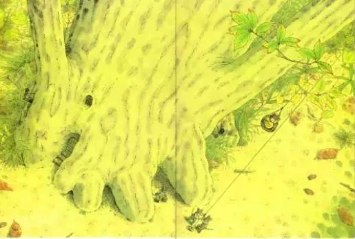 与中秋节有关的绘本推荐,中秋绘本哪本好