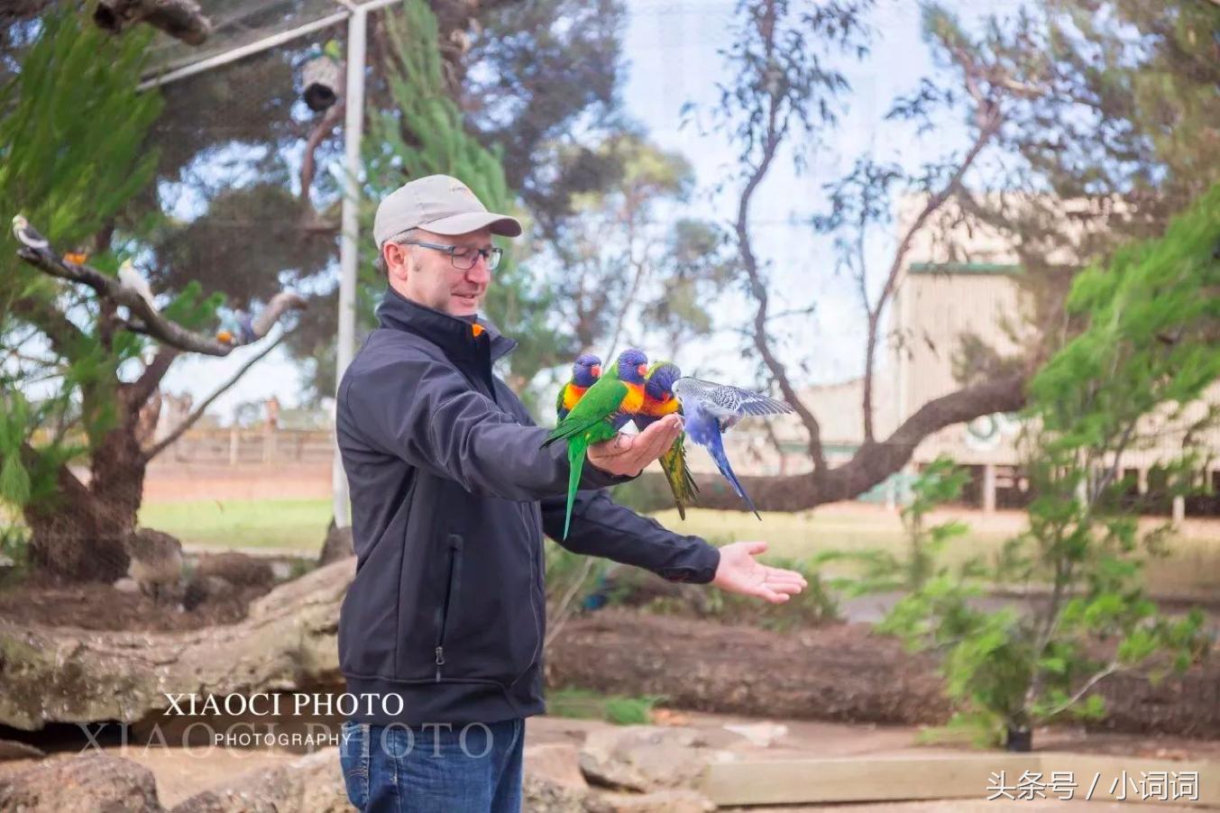 玩转南澳大利亚，这篇最全旅行攻略一定可以帮到你