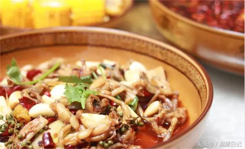 养殖泥鳅青蛙能赚钱吗,稻田泥鳅青蛙生态循环养殖技术