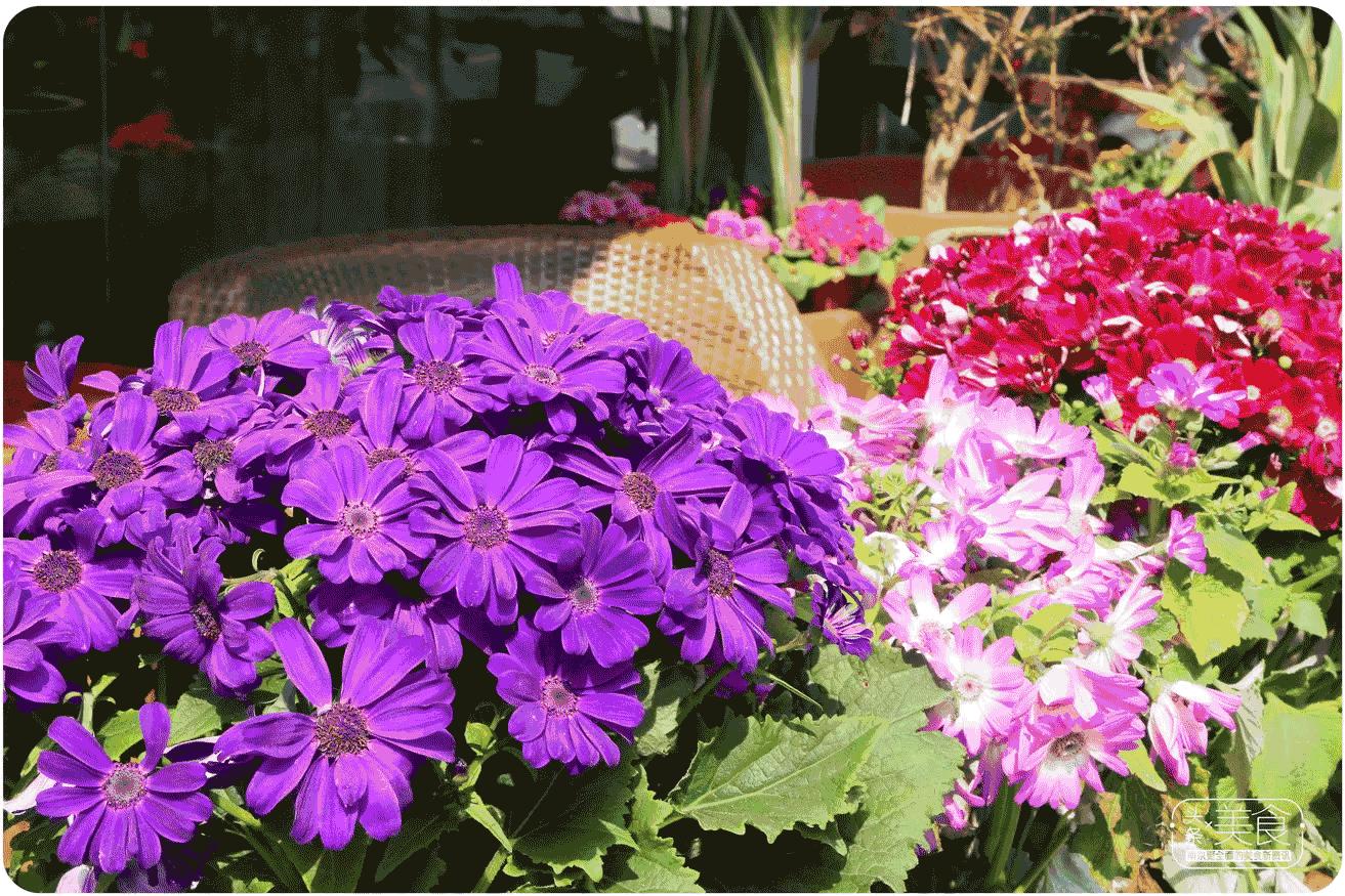 南京适合家人聚餐游玩的好地方,南京适合家庭聚会的餐厅