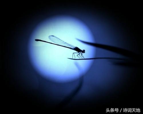 除了吃月饼你还知道哪些中秋习俗,中秋节吃月饼赏月的习俗的来历