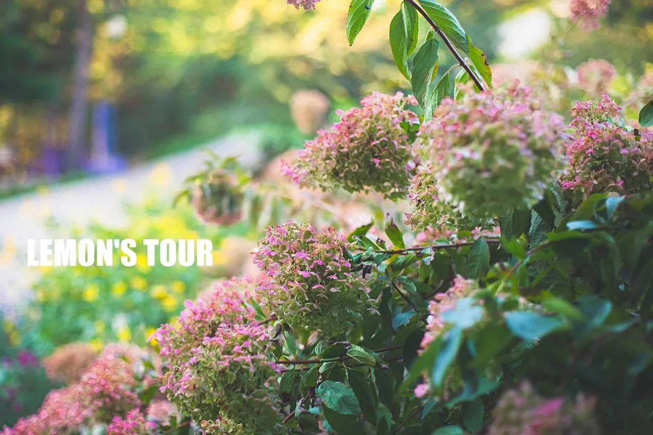 诺金度假酒店北京环球度假区,北京适合带孩子玩的度假酒店