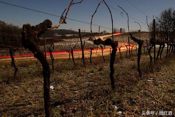 如何选干邑,干邑怎么样