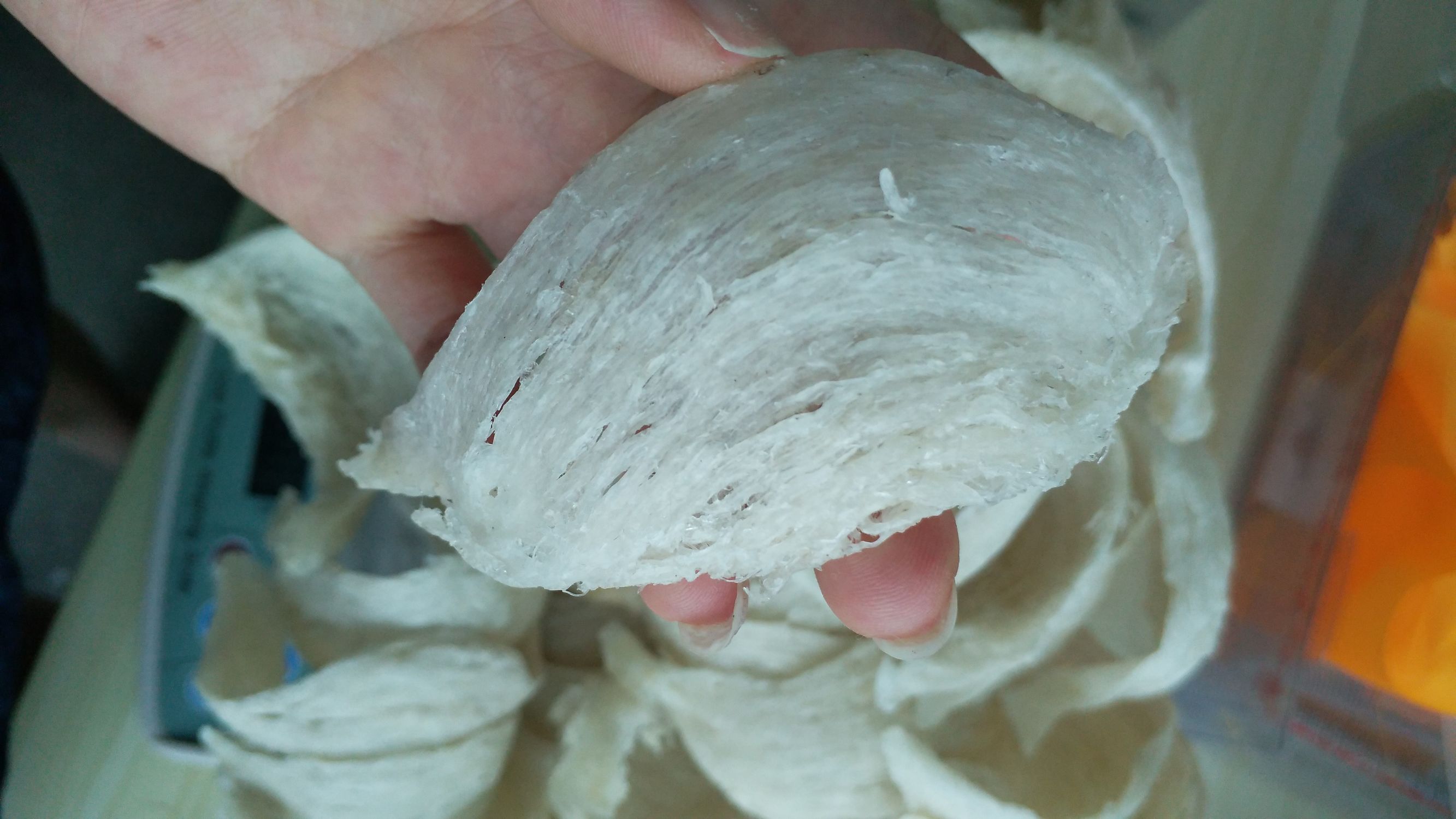 马来西亚燕窝与印尼燕窝哪个好,马来西亚的燕窝和印尼燕窝区别