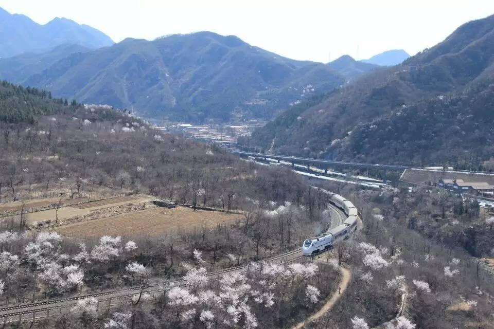 开往春天的列车，我们看图就行了