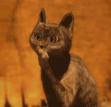 司考为什么这么容易过了,到底要不要通过司考