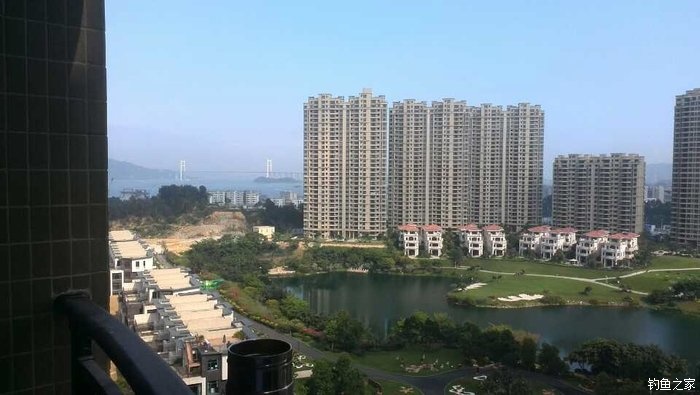 锦鲤迎春鱼跃龙门,锦鲤观赏鱼鸿运当头