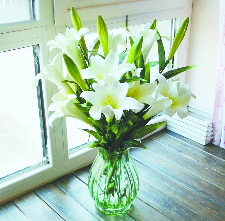 室内养殖蕨类植物有危害吗,什么植物放在室内可以净化空气