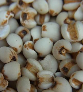 斑点的原因及治疗方法图解,目前最有效根除斑点的疗法