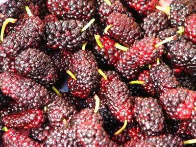 HelloC，“酸”（shuan）在法律内！