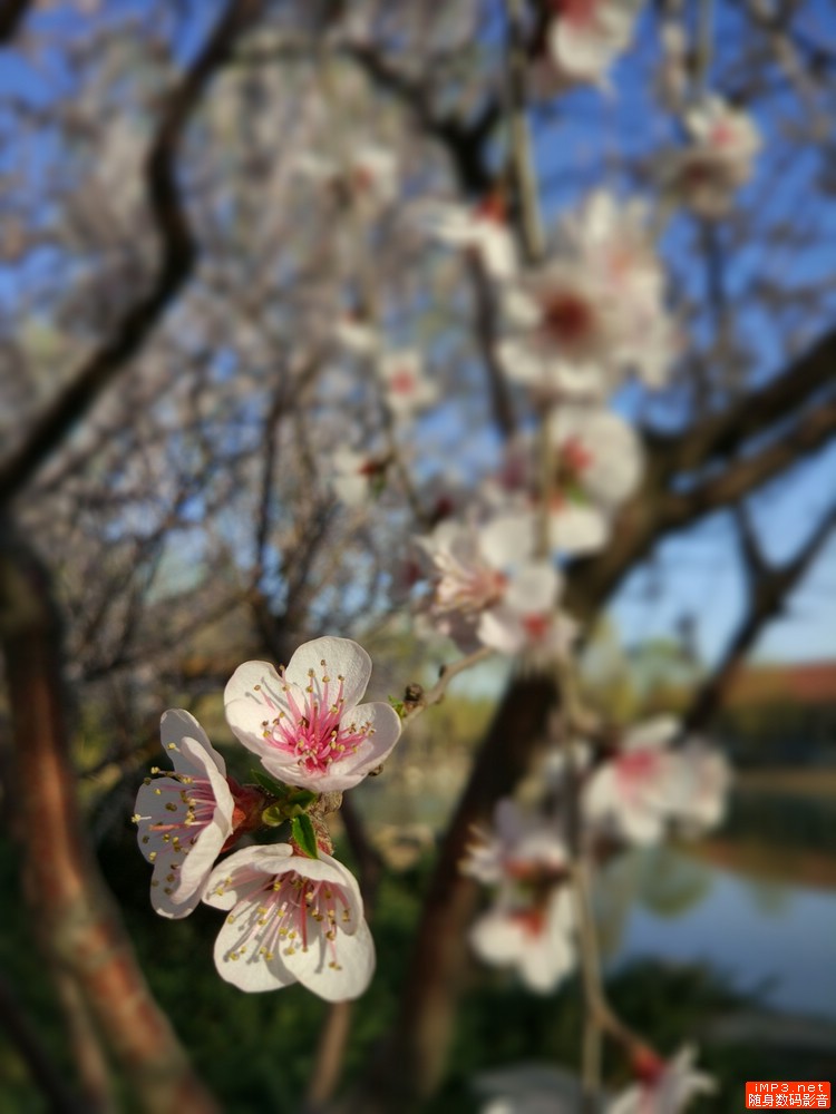 手机屏幕不好打游戏不顺滑怎么办,小米5屏幕测试