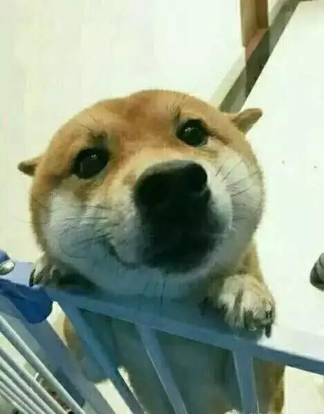 爱情的巨轮说沉就沉淀,爱情的巨轮说沉就沉下句怎么接