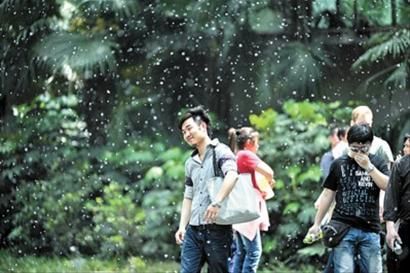 这种特殊过敏体质的皮炎叫特应性皮炎,终于有中国的诊断标准啦