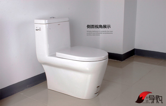 买马桶大的好还是小的好,东鹏的马桶和箭牌哪个好