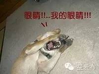 薛之谦火星情报局举哑铃哪一期,火星情报局薛之谦做什么任务