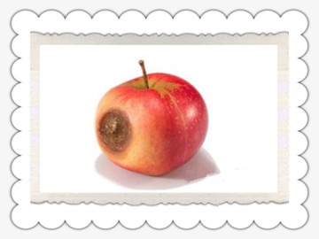 生病水果能吃吗,带伤能吃鱼吗