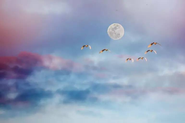 为什么手机拍不出月亮的效果,手机拍不了月亮