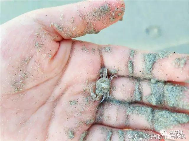 呼和浩特飞普吉岛,刷我滴卡泰国原版