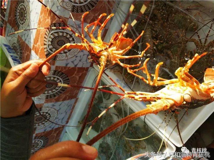 刷我滴卡泰国原版,呼和浩特直飞普吉岛