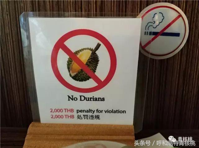 刷我滴卡泰国话,刷我滴卡泰国原版