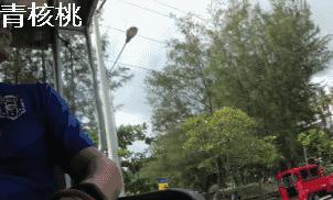 鍛煎拰娴╃壒鍒版櫘鍚夊矝,鍒锋垜婊村崱娉板浗鍘熺増