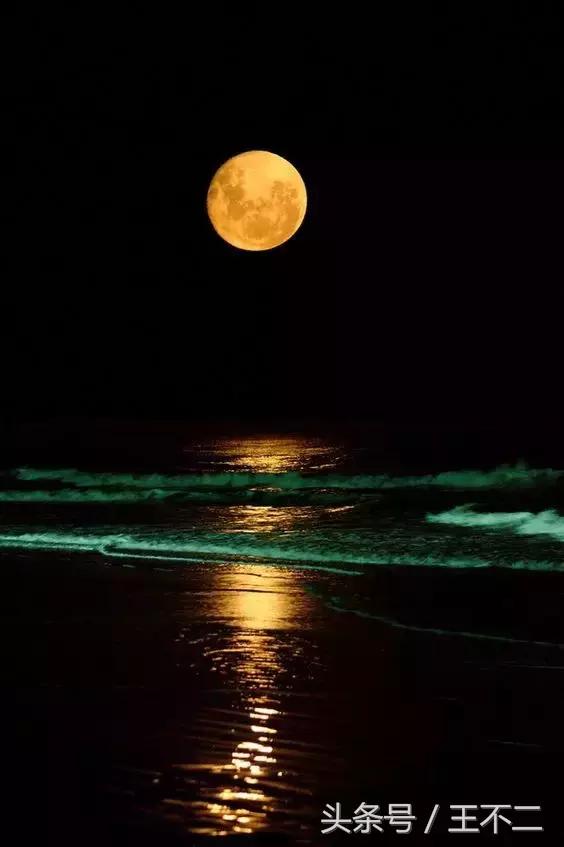 古代人的社会生活,古代人的舒服生活