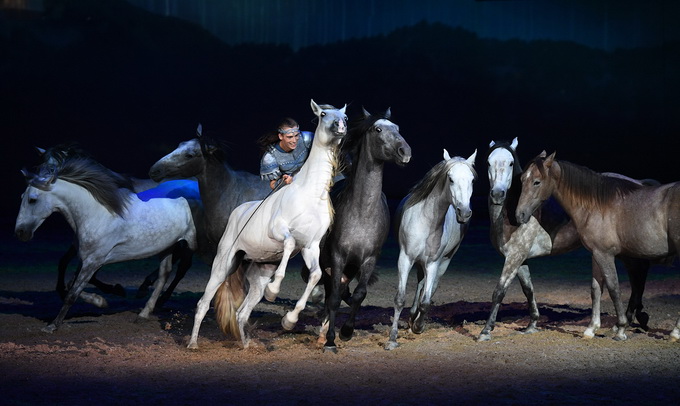 马秀扮演者,史诗马秀特洛伊演员