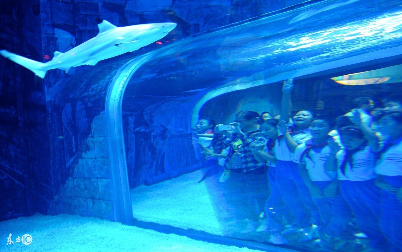 北京海洋馆必须买动物园门票吗,北京海洋馆表演时间表