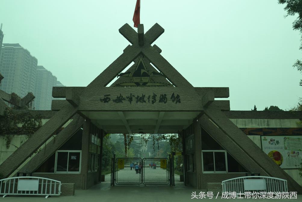 西安今年开放的免费旅游景区,西安茯茶小镇旅游景区攻略