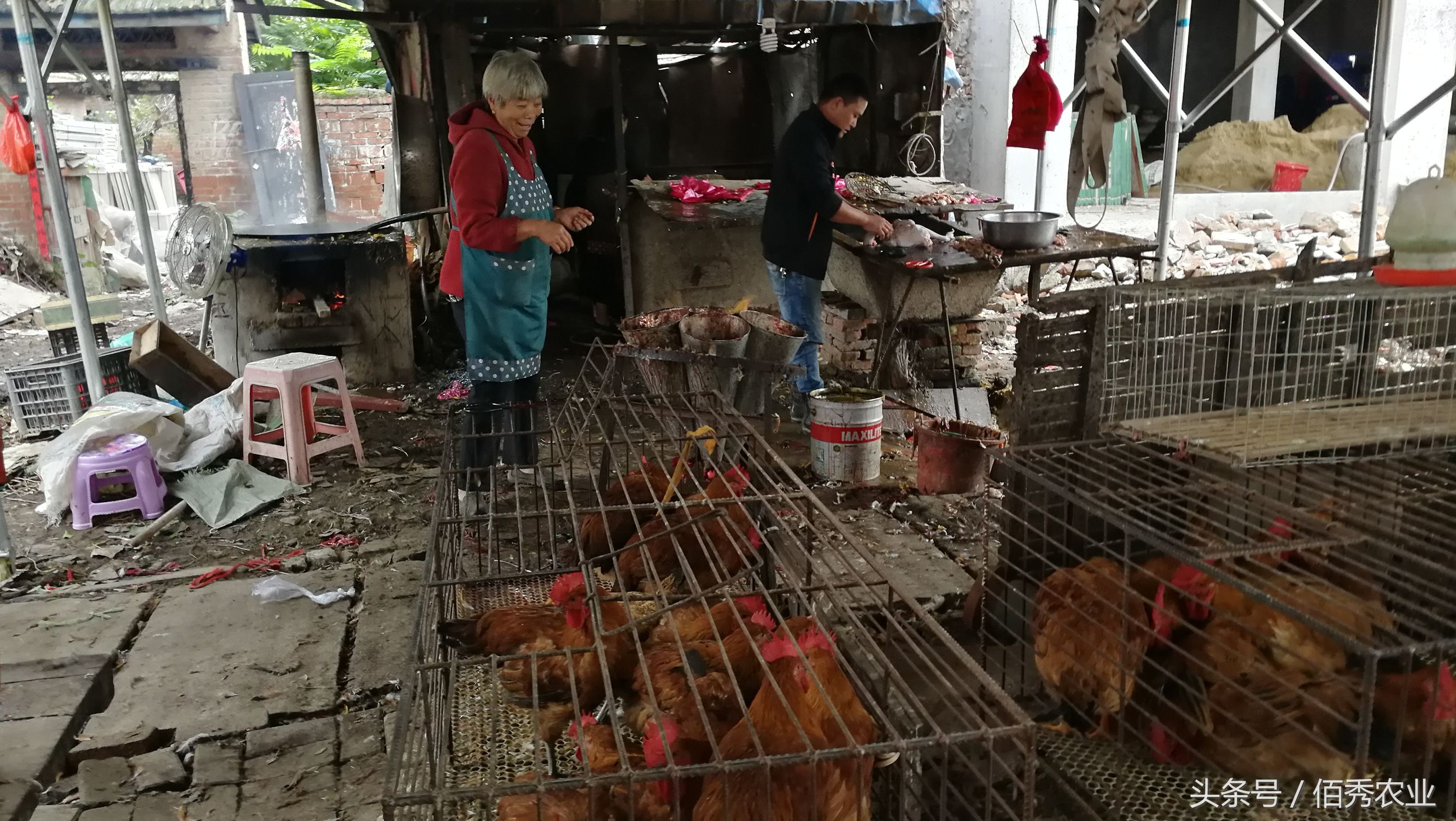 农村挣钱最快的小生意,农村最赚钱的小生意排行榜