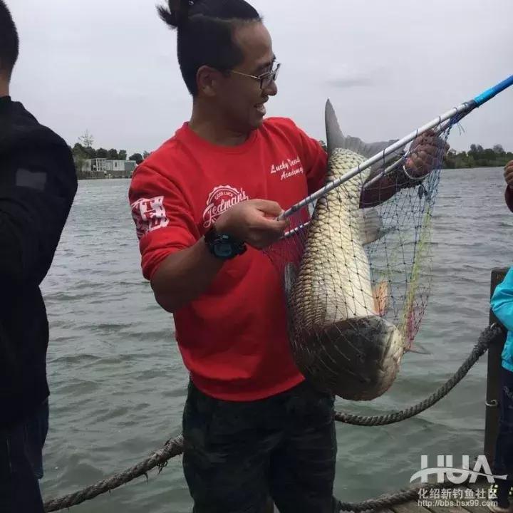 5.4米龙纹鲤三代,龙纹鲤3代钓草鱼行吗