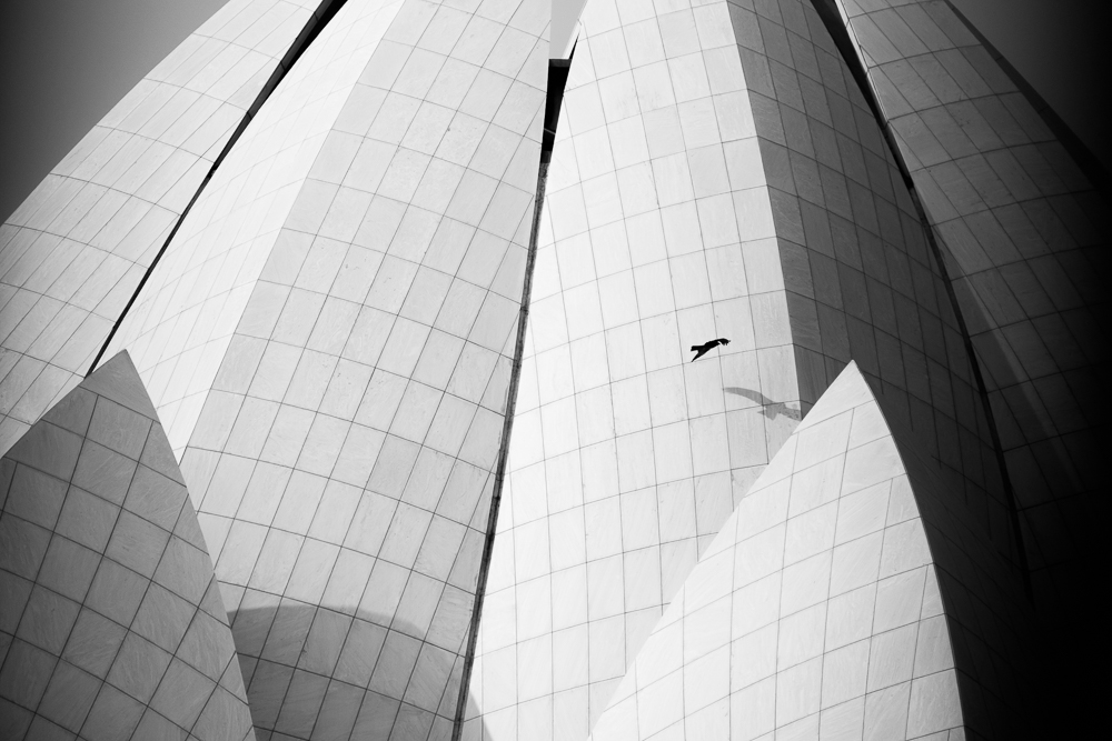 走去天竺,走天竺