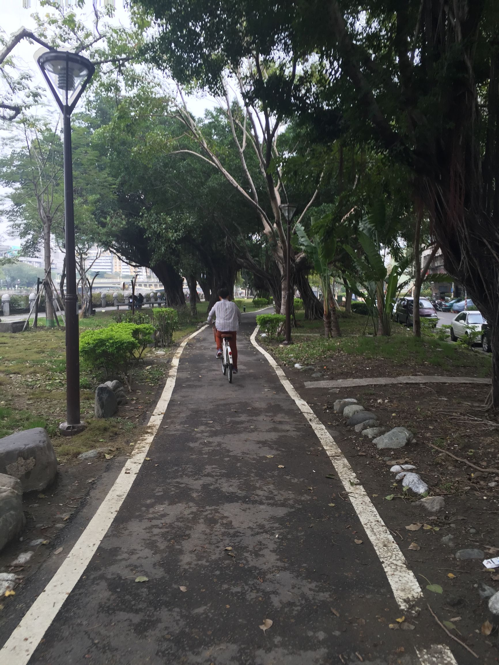 共享单车人人都能骑,共享单车人人都可以骑