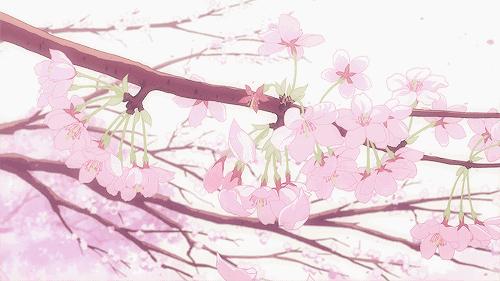 2017星巴克樱花杯系列,2021日本星巴克樱花杯价格