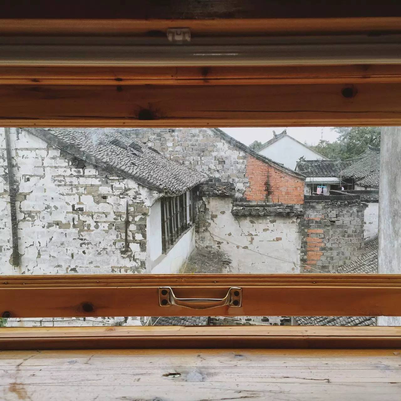 又到了动物们交配的季节，请站在宇宙中心用力呼唤爱！