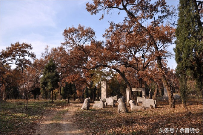 孔子的后代还可以葬入孔林吗,孔子现在的后人能葬孔林吗