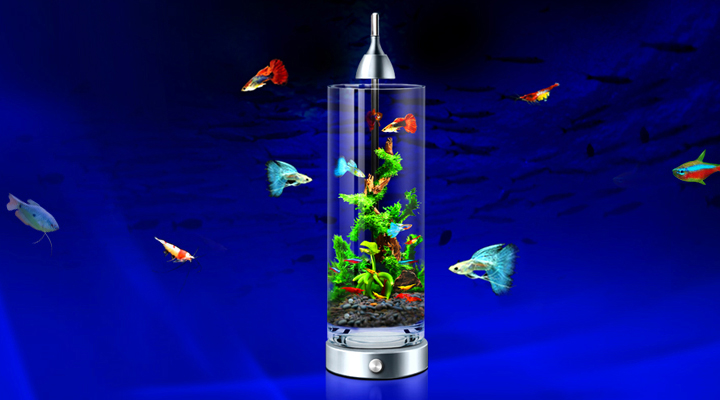 小鱼缸供氧多久,小鱼缸氧气管出水