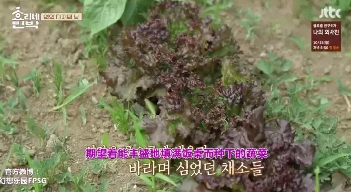 李孝利最美视频,李孝利有多美