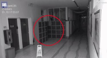 爱尔兰闹鬼事件真的吗,爱尔兰闹鬼事件真的上报了吗