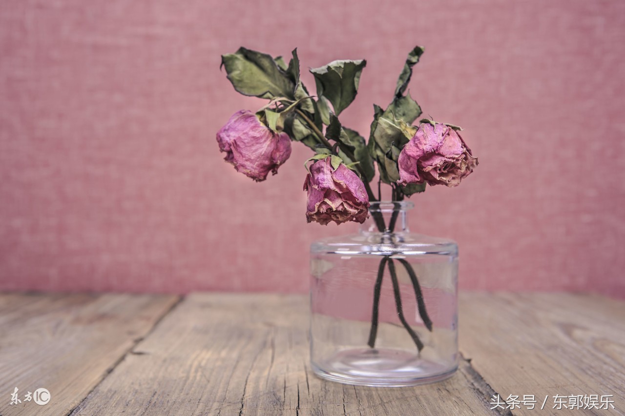 让人惊叹的冷门知识,9个奇葩冷门的知识