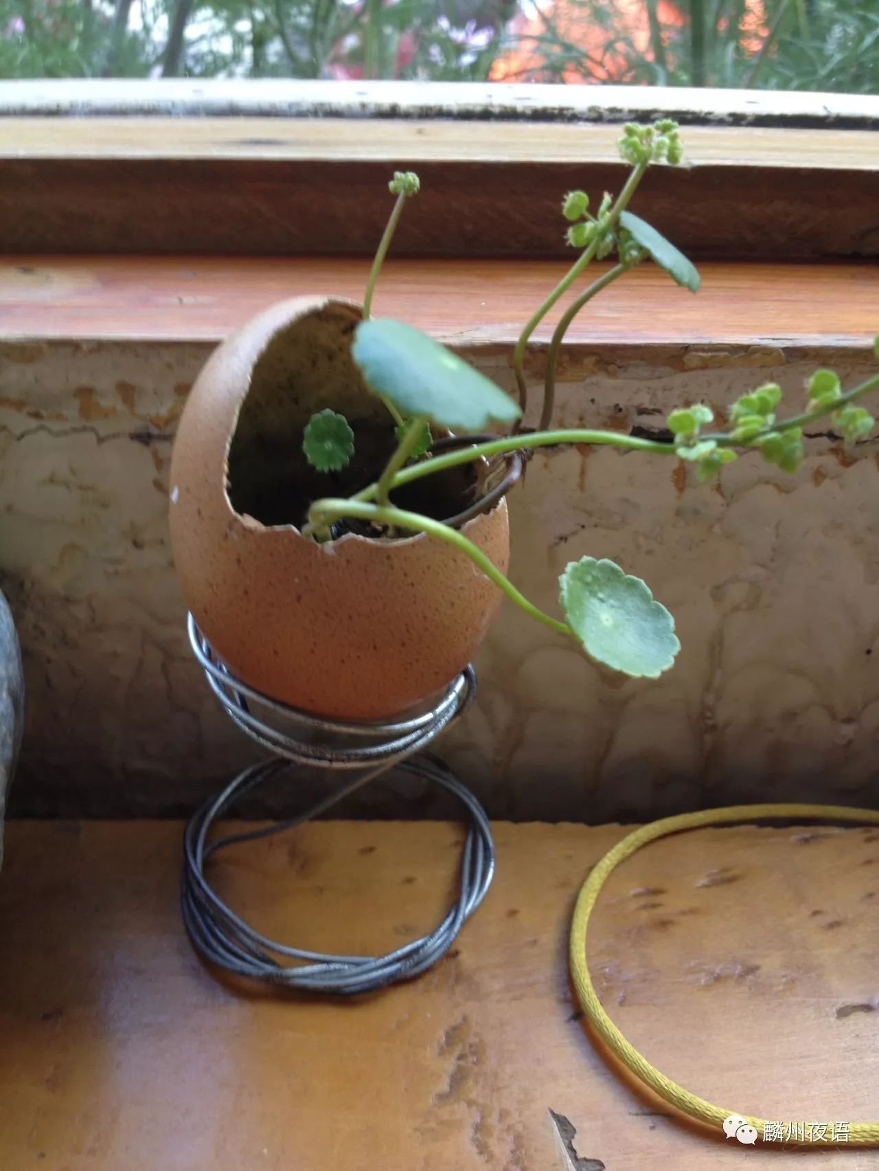 一样的街道不一样的心境,一样的街道不一样的风景