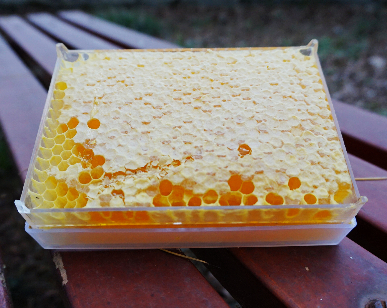 深山蜂谷悬崖土蜂蜜好吗,张家界知蜂谷养蜂